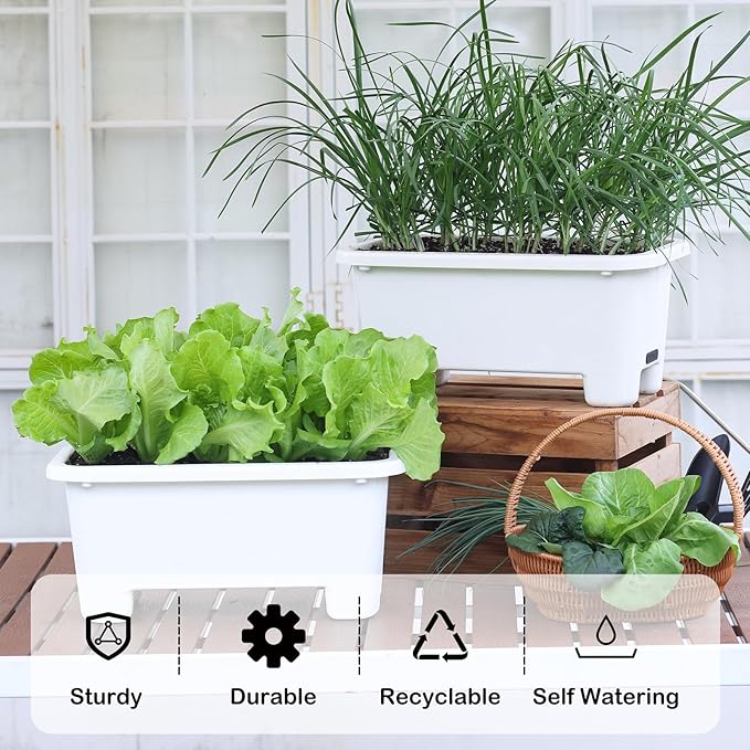 Self-Watering Rectangle Planter Boxes 8-Pack, 15.7-Inch Window Box Planter with Drainage Holes & Trays, Pots for Vegetables, Herbs, Flowers, Garden Windowsill Balcony (White)
