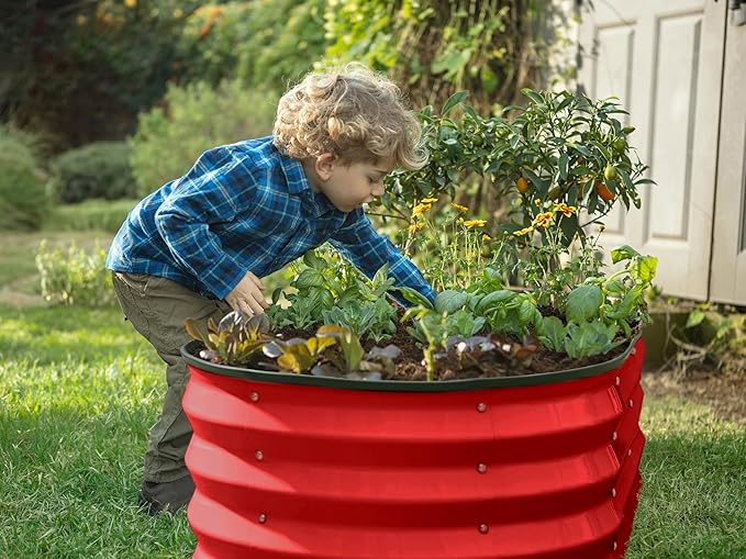 Plant & Plot Galvanized Raised Garden Beds Outdoor // 4×2×1 ft (2-Pack) Planter Raised Beds for Gardening, Vegetables, Flowers (Red) // Large Metal Garden Box