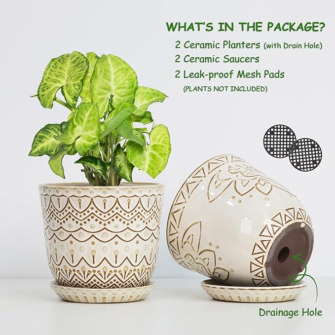 Gepege Beaded Ceramic Planter 6 Inch Set of 2 with Drainage Hole and Saucer for Plants, Indoor-Outdoor Large Round Succulent Orchid Flower Pot (Cream White, Inner-pots not Larger Than 5 Inch)