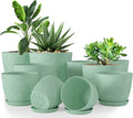 Utopia Home - Spotty Plant Pots Indoor with Drainage - 7/6.6/6/5.3/4.8 Inches Flower Pots - 10 Pack Plastic Planters - Ideal for Stocking Stuffers - (Speckled Mint, Pack of 10)