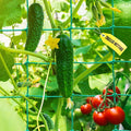 Garden Trellis Netting - Heavy Duty Trellis Net for Climbing Plants, Plant Netting for Cucumber, Tomato, 27 Strands Nylon & 4x4 Inch Mesh, Grow Netting for Fruits, Vegetables, Grape, Bean(6.6x32.8 FT)