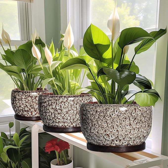 SQOWL Ceramic Plant Pots - 6 Inch Ceramic Planter for Indoor Outdoor, Small Flower Pots with Drainage Hole and Saucer, Decorative Round Planter, Home Office Decor, Plant Lover Gifts, White