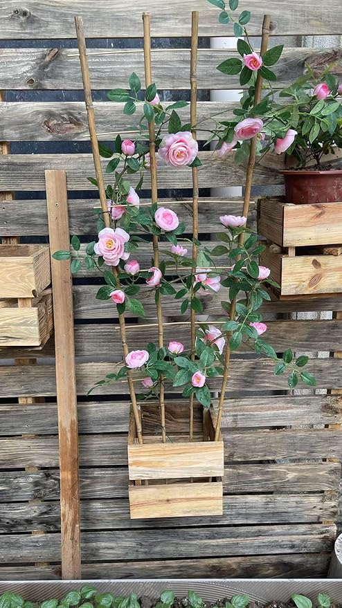 Natural Bamboo Trellis, 3Feet,3Pack,Fan-Shaped Plant Support Trellis for Outdoor and Indoor Potted Climbing Plants,Vegetables, Cucumber, Tomato, Hoya,