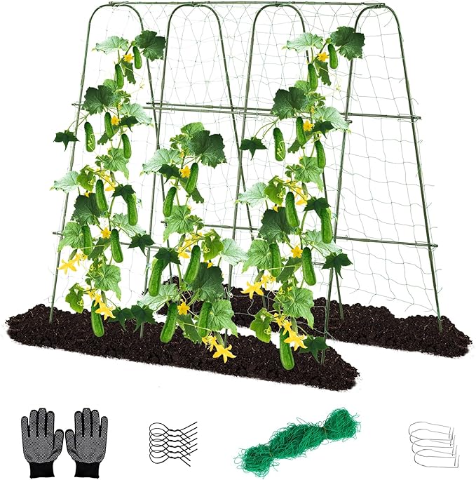 Lalahoni Cucumber Trellis, 65" X 65" Metal Garden Arch Trellis Climbing Plant Outdoor Support for Vine Fruits Flowers Vegetables Peas Beans Squash Cucumber Tomato Raised Bed, with Netting, Lightweight