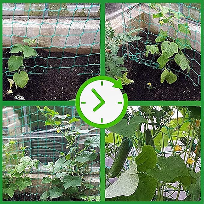 Trellis Netting for Climbing Plants - 2 Pack 7 x 10Ft Heavy Duty Garden Trellis Netting for Cucumber, Vine, Fruits & Vegetables Tomato Plants Trellis Net, Climbing Vining Plants
