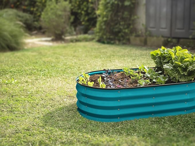 Plant & Plot Galvanized Raised Garden Beds Outdoor // 4×2×1 ft (2-Pack) Planter Raised Beds for Gardening, Vegetables, Flowers (Turquoise) // Large Metal Garden Box