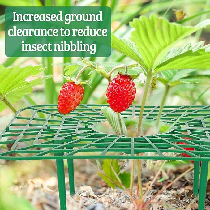 6 Sets Strawberry Plant Support with Mesh Cover - Square Gardening Frame, Animal Barrier, Iron Stakes & Storage Bag for Healthy Strawberries, Tomatoes, Veggies (Green) (6 pcs)