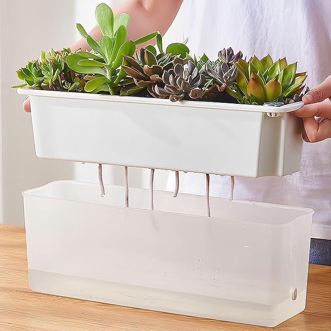 FAMZ Self Watering Pots for Indoor Plants 3 Pack Transparent Rectangular Planting Self Watering Planter，Vegetable Planters for Windowsill Patio Garden Balcony Home Porch Yard Indoor Outdoor (White)