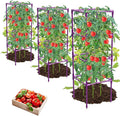 3 Pack Tomato Cages, Square Tomato Plant Stakes Support Cages Trellis for Garden Climbing Vegetables Flowers Fruits,Extra Bold,Purple