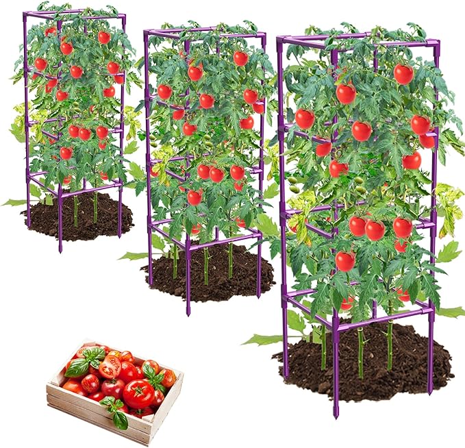 3 Pack Tomato Cages, Square Tomato Plant Stakes Support Cages Trellis for Garden Climbing Vegetables Flowers Fruits,Extra Bold,Purple