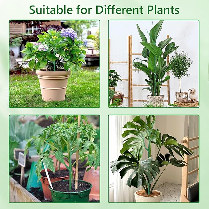 5 Pack Stackable Plant Supports Stakes, Sturdy Garden Trellis for Climbing & Vining Plants, Monstera, Pothos & Philodendron - Reusable Plant Stakes for Indoor & Outdoor Potted Plants