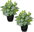 14.5" Artificial Plants Indoor Home Decor, Fake Potted Silk Plants for Shelves Living Room Decorative, Small Artificial Office Desk Plant in Pots, Faux Potted Greenery Tropical House Plant, Set of 2