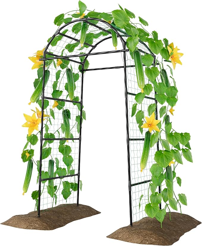 Miory Garden Arch Trellis for Climbing Plants Outdoor, Metal Plants Support Trellis for Climbing Vine Tomato Vegetable Flower Fruit, Cucumber Trellis for Raised Bed (32 x 83 Inch)
