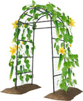 Miory Garden Arch Trellis for Climbing Plants Outdoor, Metal Plants Support Trellis for Climbing Vine Tomato Vegetable Flower Fruit, Cucumber Trellis for Raised Bed (32 x 83 Inch)