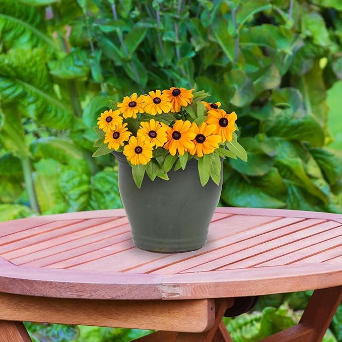 Sunnydaze Round Ceramic Planter - Set of 2 Indoor or Outdoor Plant Pots with Drainage Hole - Studio - 11" - Gray Glaze