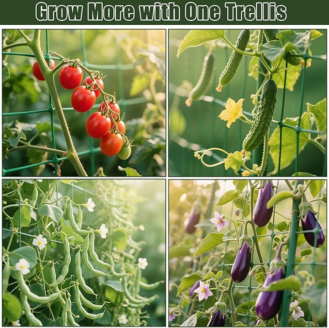 Miory Cucumber Trellis for Raised Beds, 32 x 63 Inch Metal U-Frame Garden Trellis for Climbing Plants Outdoor with Climbing Net, Plant Support for Cucumber Tomato Bean Pea