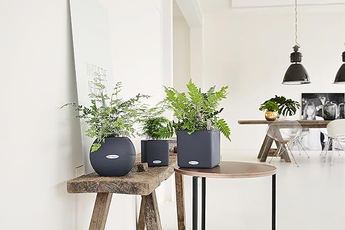 Lechuza Puro Color 20 Slate, Self-Watering Small Indoor Planter, D7.9 H6.3 in