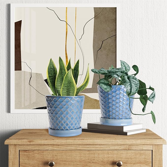 EFISPSS Plant Pots,5 Inch Pots for Indoor Plants,Planters with Drainage Hole and Saucer, Ceramic Flower Pots Desktop Office Windowsill Decoration Gift Set of 4 - Sky Blue