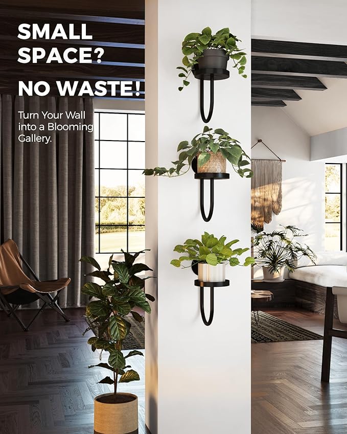 Bamworld Hanging Planters for Indoor Plants Wall Plant Holder Plant Hanger Indoor Wall Planters Window Plant Shelves Hanging Plant Holder Window Plant Hanger Plant Decor Black 3pcs