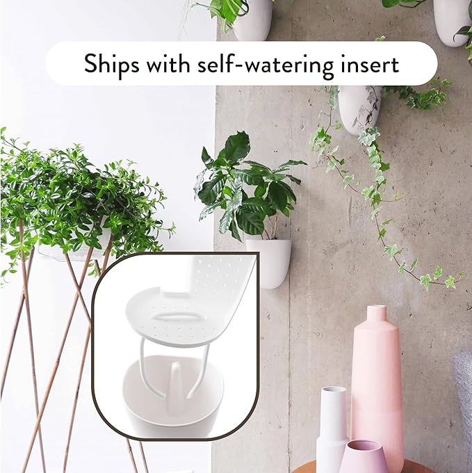 Make Good PlantPod Luxe Self-Watering Wall Planters (Set of 3) - Easy to Water and Install - Lightweight - Design Your Own Vertical Garden - Wall Planters for Indoor Plants