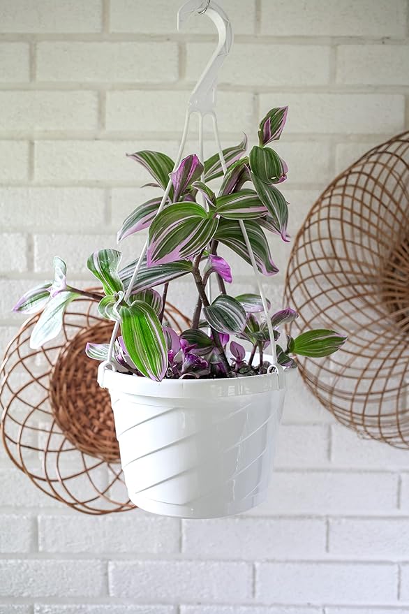 The HC Companies Euro Hanging Basket Planter Decorative 12-Inch Large Plastic Hanging Basket w/Swirl Design for Outdoor Plants, White