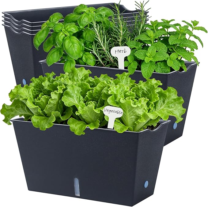 Window Box Planter 6 Pcs, 12.1 Inches Self Watering Plant Pots Rectangle Flower Pots with Drainage Holes and Breathable Trays, Vegetable Planters for Windowsill Patio Garden Balcony Porch Yard (Black)