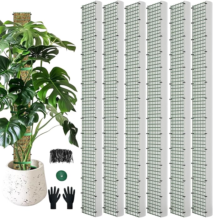 60" Metal Moss Pole, D Shape Sphagnum Moss Pole, Moss Poles for Climbing Plants, Monstera, Indoor Climbing Plants (6Pcs 60")