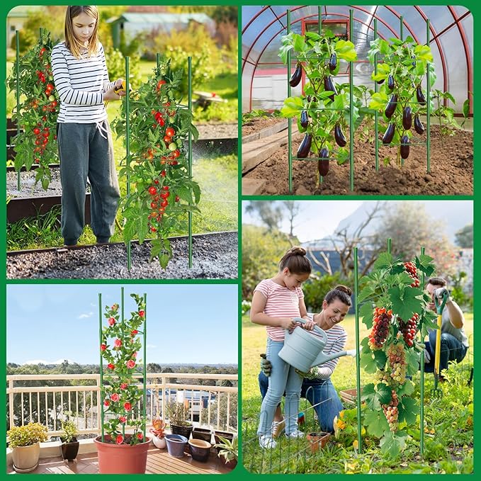 3 Pack Tomato Cages, 51.2in Tomato Plant Support Stakes Heavy-Duty, Garden Tomato Cages & Trellis for Climbing Vegetables, Tomatoes, Peppers, and Potted Plants(3)