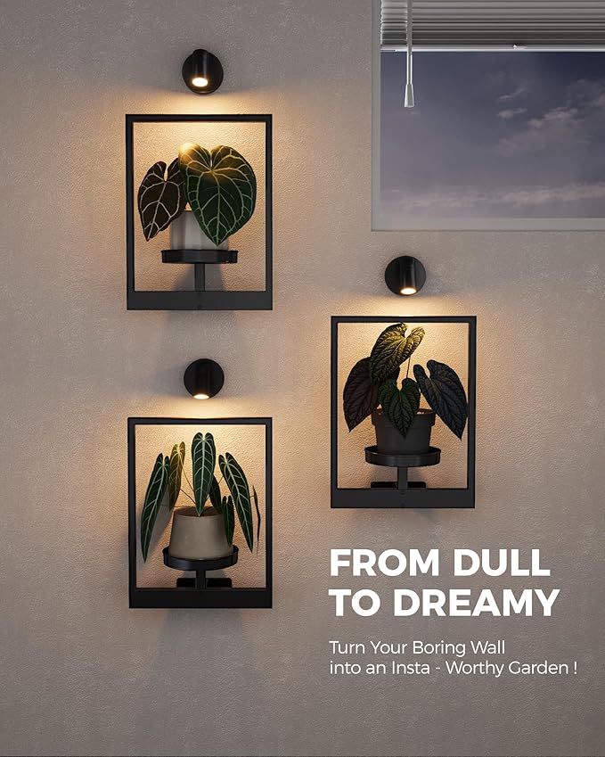 Bamworld Hanging Planters for Indoor Plants Wall Decor Living Room Plant Stand Indoor Wall Planters Plant Hanger Window Plant Shelves 3-Packs with Lights