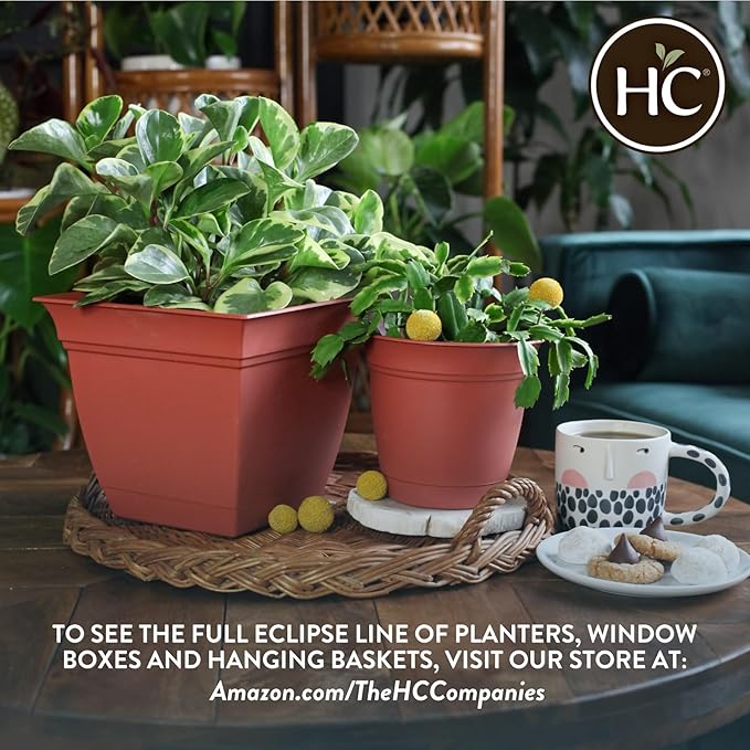 The HC Companies Eclipse Round Planter with Saucer - Outdoor & Indoor Plant Pot with Drainage Holes - Lightweight, UV-Resistant Plastic Pots for Plants, Flowers & Herbs (6" Black, Pack of 1)
