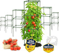 Tomato Cage Square - Large Trellis Stakes and Plant Support Structures for Vegetables and Climbing Plants - Tall Tomato Cages for Garden, Pots, Raised Garden Bed Outdoor Supplies (6 Pack - Up to 41")