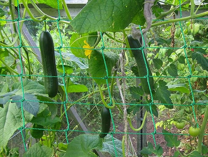 Trellis Netting for Climbing Plants - Heavy Duty Garden Trellis Netting for Cucumber, Vine, Fruits & Vegetables Tomato Plants Trellis Net, Climbing Vining Plants (1-Pack 16.4' x 6.6'Ft)