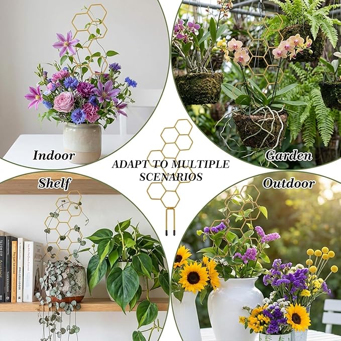 Small Trellis for Potted Plants, 14 Inch Indoor Trellis for Climbing Plants Honeycomb Shape Metal Plant Trellis for Pots Plant Climbing Support for Flower Hoya Pothos Houseplants