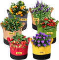 Grow Bags 5 Gallon,6 Pack Fabric Plant Pots with Handles Planter Bag for Outdoor Garden Planting Vegetables Flowers Fruit