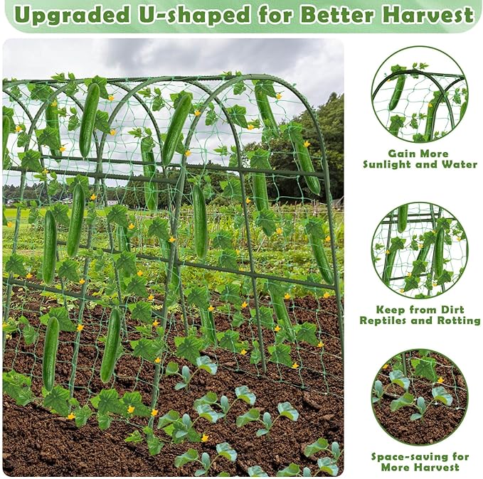 Cucumber Trellis for Raised Bed, Large Size Garden Arch Trellis for Climbing Plants Outdoor, Metal Garden Trellis for Spring Vegetables, Cucumber Trelli for Tomato, Bean, Pea, Grape, Plant