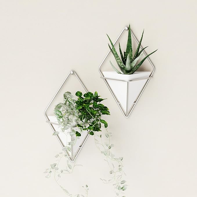 Umbra Trigg Hanging Planter Vase Wall Decor, Set of 2 Pots Containers for Succulents, Cactus, Faux Plants, and More, Small, White/Nickel