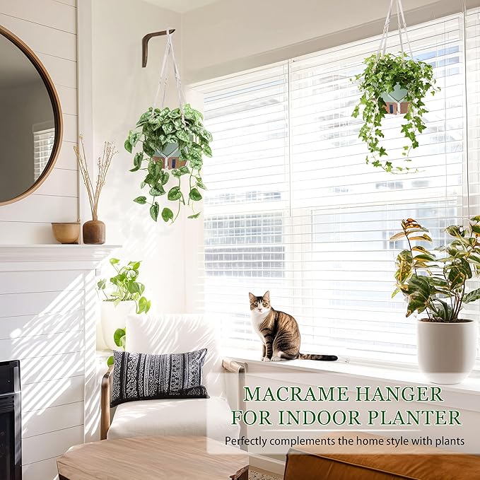 10 Inch Hanging Planters for Indoor Plants, 2 Pack Self Watering Hanging Baskets Flower Pots with Drainage Hole, Visual Reservoir & 2 Kinds of Plant Hanger for Home Decor