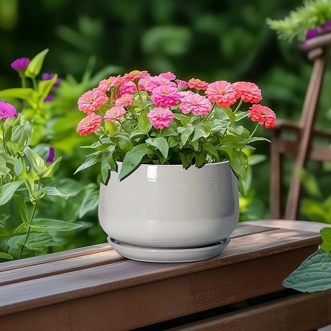 G EPGardening Ceramic Pots for Plants - 6 Inch Plant Pot with Drainage and Ceramic Tray, Modern Succulent Pots, Round Planters for Indoor Plants, Living Room Decor, Gifts for Plant Lovers, Light Grey
