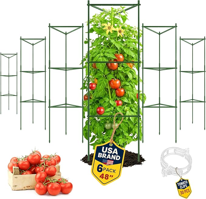 Tomato Cage - Large Trellis Stakes and Plant Support Structures for Vegetables and Climbing Plants - Tall Tomato Cages for Garden, Pots, Raised Garden Bed Outdoor Supplies (6 Pack - Up to 48")