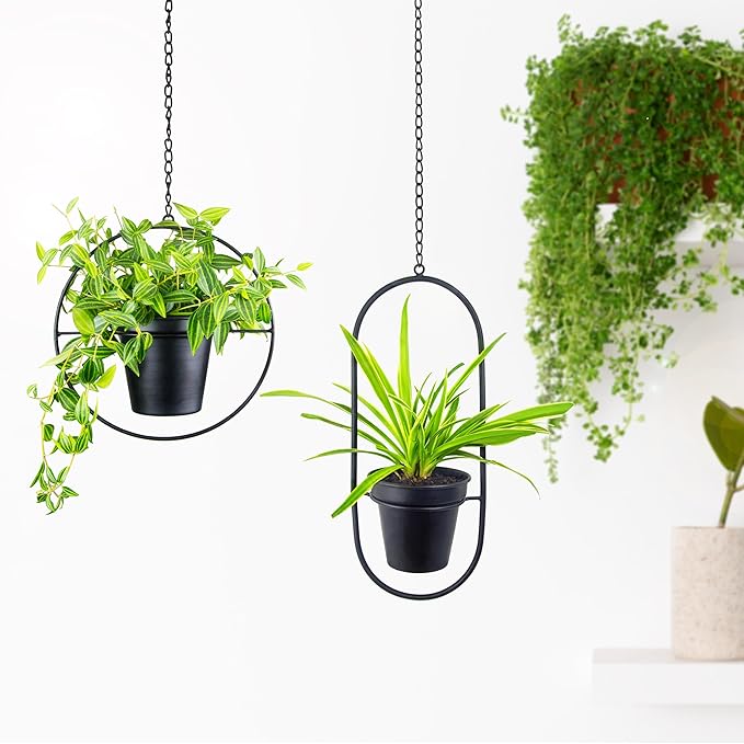 Metal Hanging Planters, Modern Plant Hanger with 5 inch Flower Pot, Set of 2 Black Plant Holder in Oval and Round Shape, Small Wall and Ceiling Planter for Indoor Plants, Home Décor