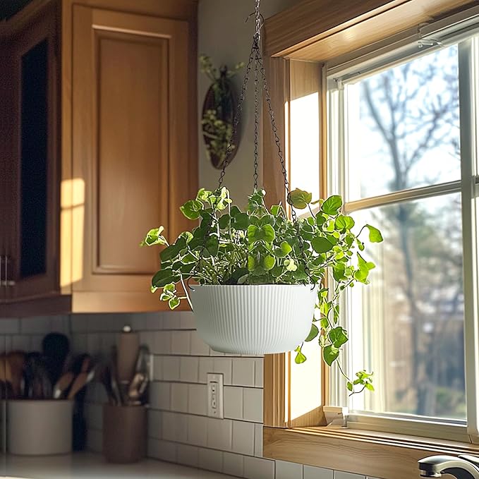 T4U Hanging Planter Self Watering 8 Inch, 2 Pack White Indoor Hanging Plant pots, Hanging Flower Pot with Drainage Hole & Plug & Chain with 3 Hooks for Garden Home Decor