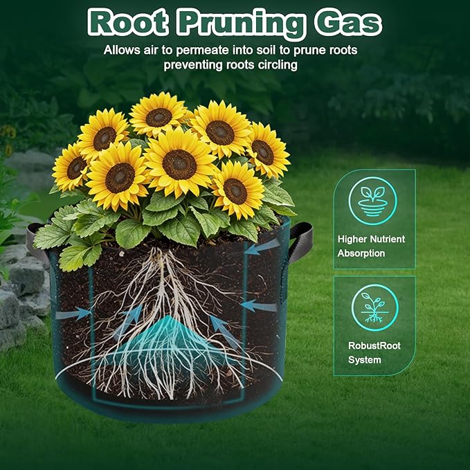5 Pack 10 Gallon Thickened Grow Bags, Aeration Nonwoven Fabric Planting Bags with Handles, Heavy Duty 300G Garden Planter Pot for Tomato, Potato, Strawberry, Vegetable, Fruits and Flowers