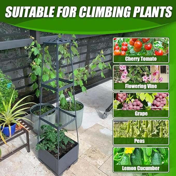 2 Packs Raised Garden Bed Tomato Planter Box with Trellis,44.8" Self-Watering Tomato Cage with Trapezoidal Trellis for Climbing Plants Flowers Vegetables Vine in Patio Garden Indoor Outdoor