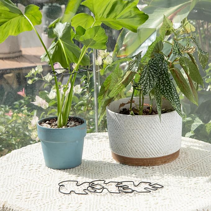 Monstera Plant Stem Support Set - 5pcs 4.13x2.95 inches Durable Supports for Indoor Climbing Plants - Easy-to-Use Stabilizers for Healthy Growth and Elegant Garden Decor