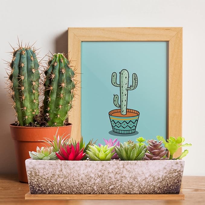 Succulent Pots - Large Succulent Planter Pots with Drainage, 12 Inch Long Rectangle Bonsai Pot with Bamboo Tray Shallow Ceramic Cactus Flower Planter Window Box for Home Garden Decor (White)
