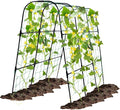 Garden Arch Trellis for Climbing Plants Outdoor, 50x48 inch Cucumber Trellis Raised Bed, Rustproof Metal Climbing Plant Support Vegetable Vine Flower Fruits, with Netting, Lightweight, Black