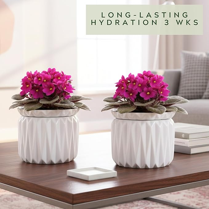 6 Inch African Violet Pots Self Watering, Ceramic Planter with Water Reservoir and Fill Lines, 4 Inch Opening, Indoor Flower Pot, Holds 3 Weeks of Water (2 Pack White)