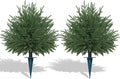 Artificial Norfolk Topiary Cedar Trees with Ground Spike, 2 Pieces Fake Pine Shrubs Bushes, UV Resistant Faux Evergreen Tree Plants for Indoor Outdoor Planters Front Porch