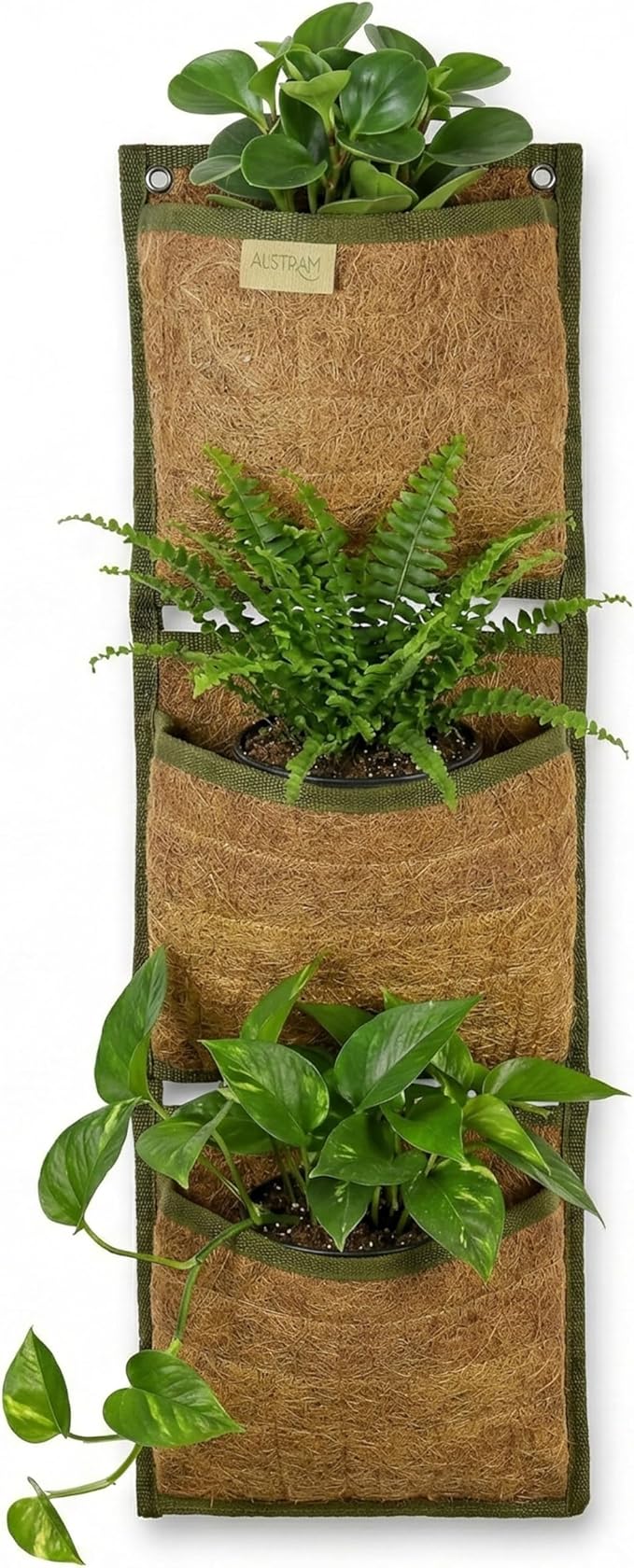 Vertical Garden Planter, 3 Pocket, Living wall Planter, Hanging wall planters for Indoor Plants, Hanging planters for Outdoor Plants, for Herbs, Boho Kitchen Decor, Patio Decor, Indoor Garden