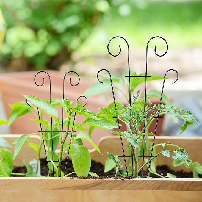 4 Pack 32'' Indoor Plant Trellis for Potted Plants Climbing, Outdoor Metal Garden Trellis Houseplants Flowers Vine Ivy, Wave Shape, Black